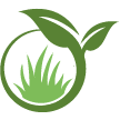 Stamford Lawn Clean Up