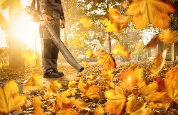 Leaf Blowing Service in Stamford