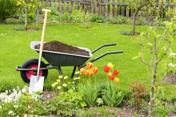 Cost of Spring Yard Cleanup in Stamford