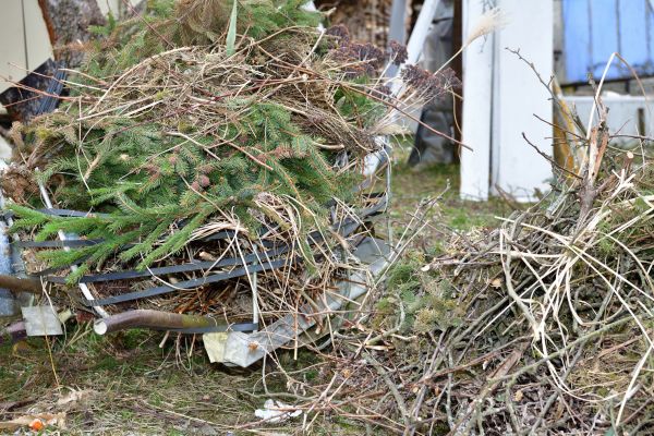 Yard Waste Removal Service in Stamford