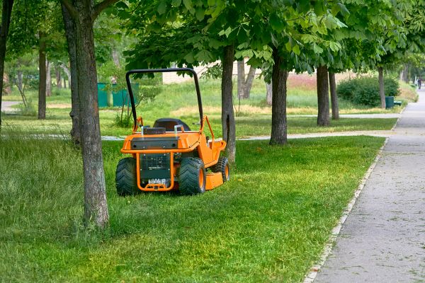Landscaping Cleanup Service in Stamford