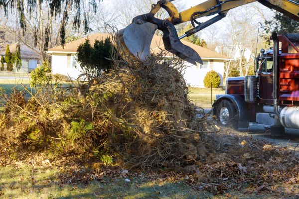 Storm Debris Removal in Stamford