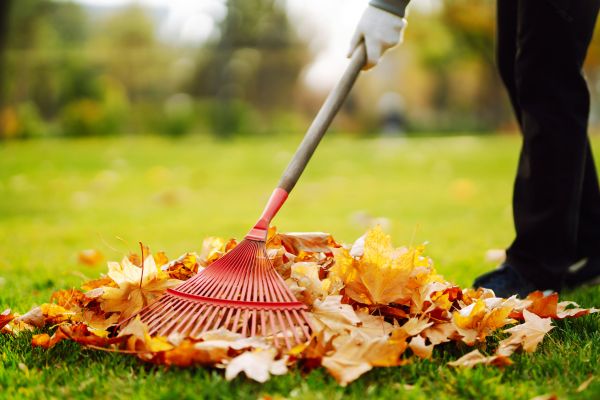 Ditch Leaf Removal in Stamford