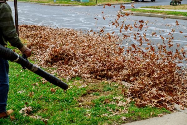 Cost of Garden Leaf Removal in Stamford