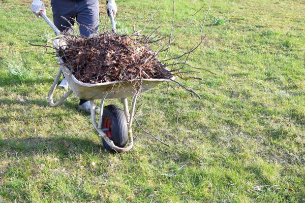 Yard Brush Removal in Stamford