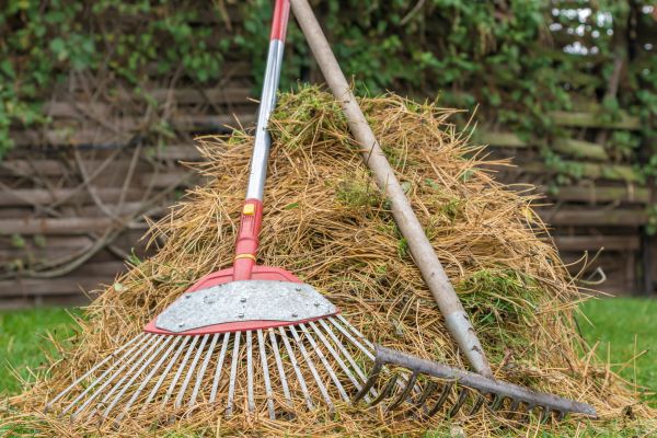 Cost of Pine Straw Clearing in Stamford