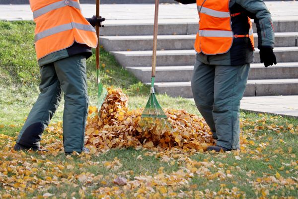 Leaf Hauling Service in Stamford