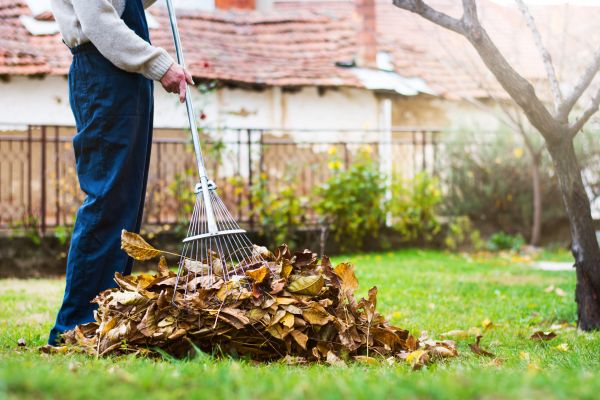 Spring Lawn Cleanup in Stamford