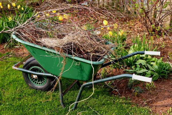 Lawn Waste Removal in Stamford