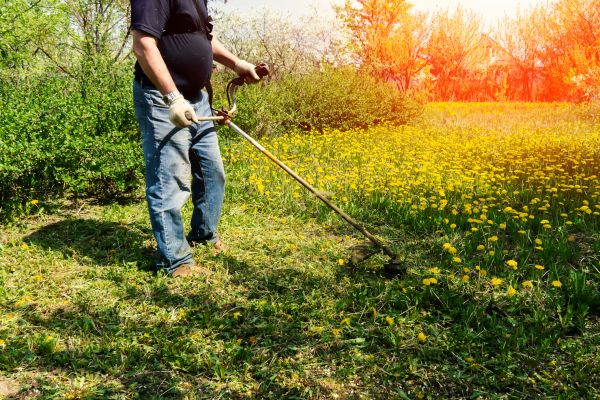 Yard Clearing Service in Stamford