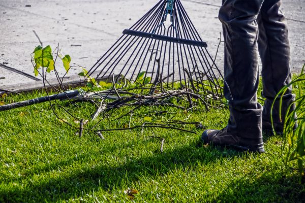 Yard Debris Cleanup in Stamford