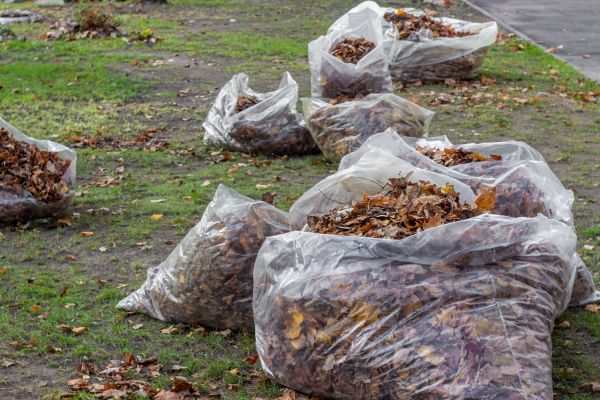 Leaf Pile Disposal in Stamford