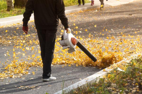 Commercial Leaf Removal in Stamford