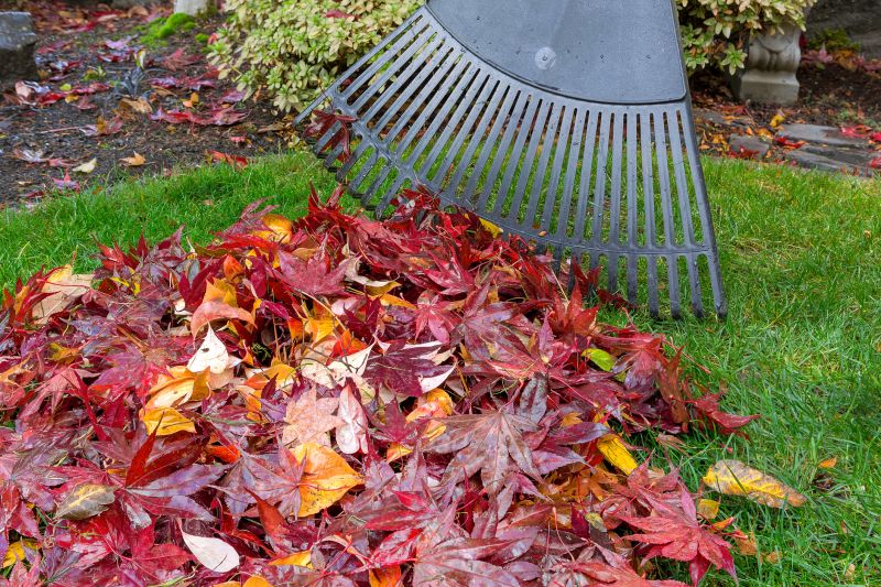 Yard Raking Service